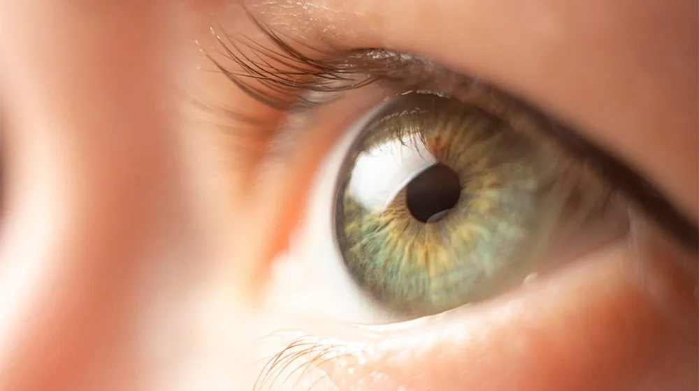 What Is Eye Twitching?