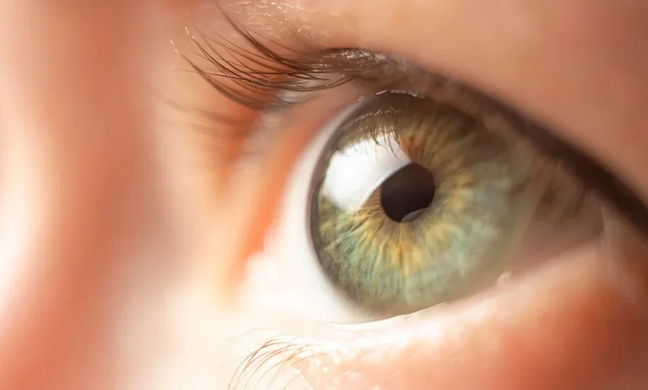 Female-green-eye-close-up-How-to-Stop-Eye-Twitching-ss-feat