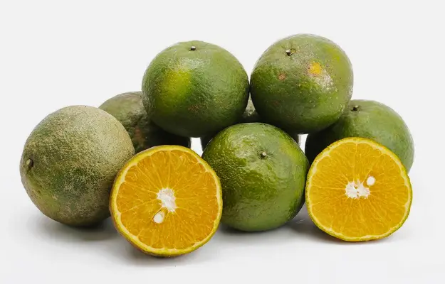 Citrus Fruits and Berries
