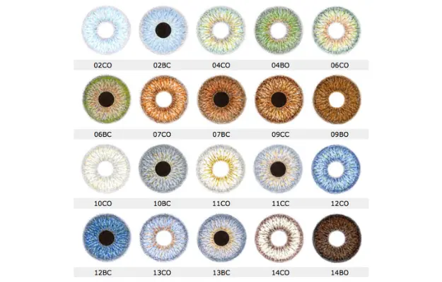 Prosthetic Contact Lenses